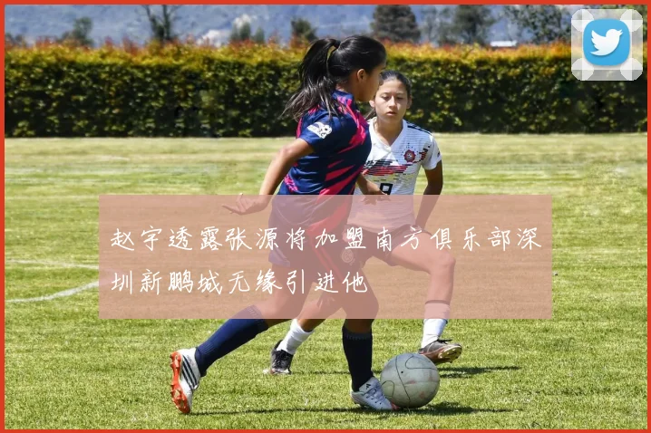 赵宇透露张源将加盟南方俱乐部深圳新鹏城无缘引进他